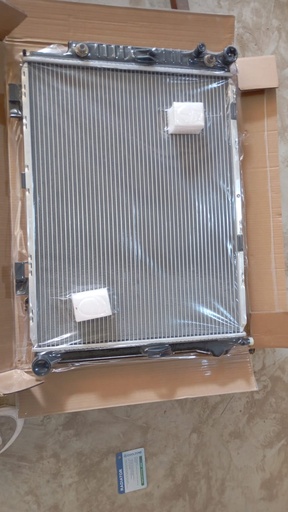 Mercedes “Eyes” Automatic Radiator